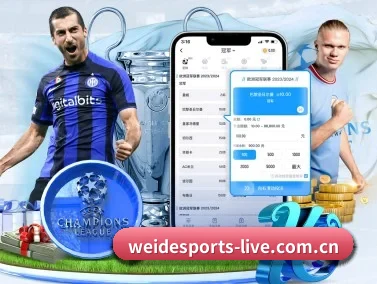 韦德体育平台官网 APP(WEIDESPORT)